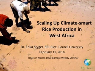 Scaling Up Climate-smart
Rice Production in
West Africa
Dr. Erika Styger, SRI-Rice, Cornell University
February 11, 2016
Issues in African Development Weekly Seminar
 