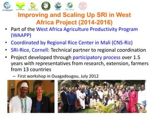 Improving and Scaling Up SRI in West
Africa Project (2014-2016)
• Part of the West Africa Agriculture Productivity Program...