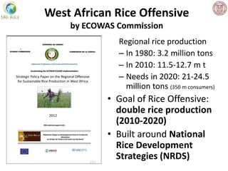 West African Rice Offensive
by ECOWAS Commission
Regional rice production
– In 1980: 3.2 million tons
– In 2010: 11.5-12.7...