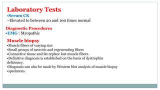 Laboratory Tests
•Serum CK
–Elevated to between 20 and 100 times normal
Diagnostic Procedures
•EMG : Myopathic
Muscle biopsy
•Muscle fibers of varying size
•Small groups of necrotic and regenerating fibers
•Connective tissue and fat replace lost muscle fibers.
•Definitive diagnosis is established on the basis of dystrophin
deficiency.
•Diagnosis can also be made by Western blot analysis of muscle biopsy
•specimens.
 