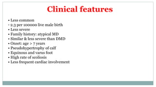 • Less common
▫ 2.3 per 100000 live male birth
• Less severe
• Family history: atypical MD
• Similar & less severe than DMD
• Onset: age > 7 years
• Pseudohypertrophy of calf
• Equinous and varus foot
• High rate of scoliosis
• Less frequent cardiac involvement
Clinical features
 
