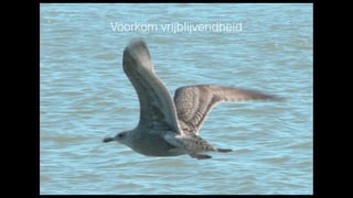 Voorkom vrijblijvendheid
 