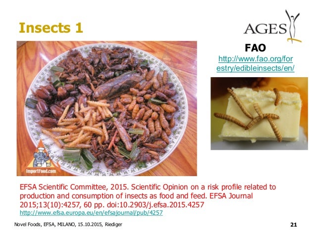 List Of Novel Protein Foods List Of Novel Protein Foods