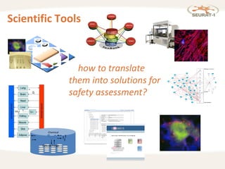 Scientific Tools
Chemical
Cells exchange
… how to translate
them into solutions for
safety assessment?
 
