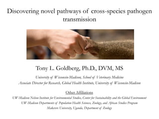 Discovering novel pathways of cross-species pathogen
transmission
Tony L. Goldberg, Ph.D., DVM, MS
University of Wisconsin-Madison, School of Veterinary Medicine
Associate Director for Research, Global Health Institute, University of Wisconsin-Madison
Other Affiliations
UW-Madison Nelson Institute for Environmental Studies, Center for Sustainability and the Global Environment
UW-Madison Departments of Population Health Sciences, Zoology, and African Studies Program
Makerere University, Uganda, Department of Zoology
 