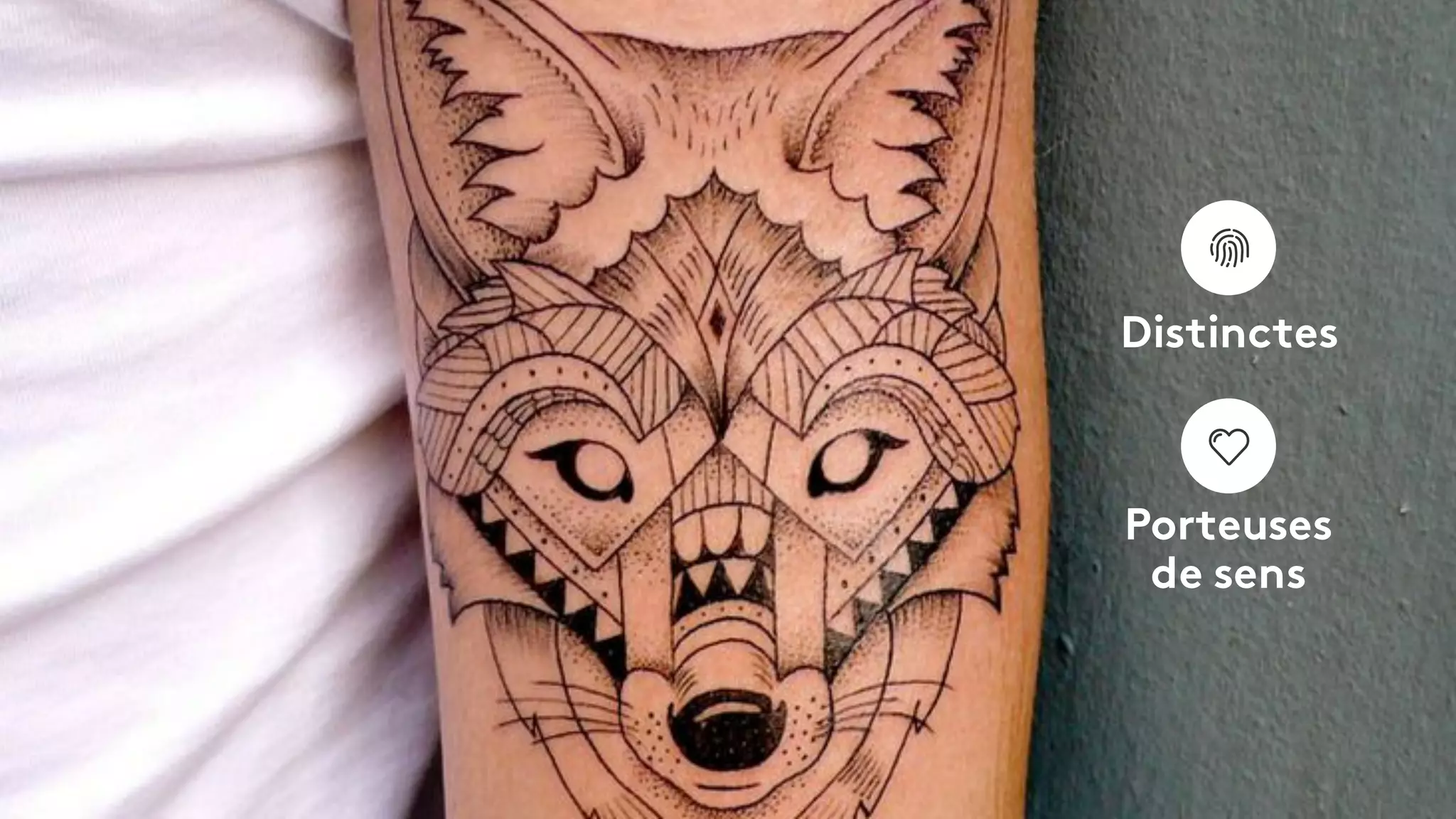 Distinctes
Porteuses
de sens
 