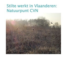 Stilte werkt in Vlaanderen:
Natuurpunt CVN
 