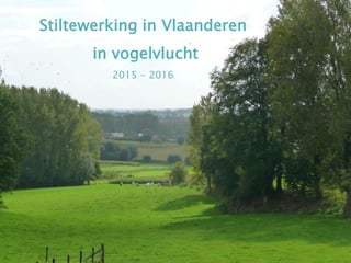 Stiltewerking in Vlaanderen
in vogelvlucht
2015 - 2016
 