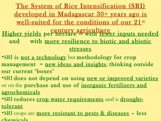 1603 - Improving Food Production for Health in a Water-constrained World - Agroecology and SRI