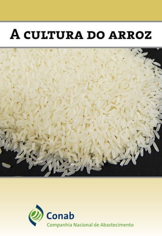 A cultura do arroz
 