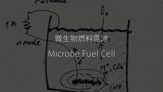 ΢ȼ늳
Microbe Fuel Cell
 