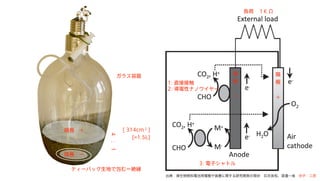 1: ֱӽӴ
2: ԥʥΥ磻`
3: ӥȥ
䣺΢ȼ늳늘Oװävо_kάF״ʯ͡߄һա֣ԭ

O


O
`
ؓɡK 
ꖘO
ꎘO`
4:1
ƥ`Хåؤǰࣽ~F
[ 314cm ]
[=1.5L]
2
饹
 
