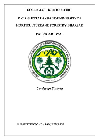 COLLEGEOFHORTICULTURE
V.C.S.G.UTTARAKHANDUNIVERSITYOF
HORTICULTUREANDFORESTRY,BHARSAR
PAURIGARHWAL
CordycepsSinensis
SUBMITTEDTO:-Dr.SANJEEVRAVI
 
