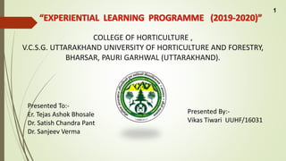 Presented By:-
Vikas Tiwari UUHF/16031
COLLEGE OF HORTICULTURE ,
V.C.S.G. UTTARAKHAND UNIVERSITY OF HORTICULTURE AND FORESTRY,
BHARSAR, PAURI GARHWAL (UTTARAKHAND).
Presented To:-
Er. Tejas Ashok Bhosale
Dr. Satish Chandra Pant
Dr. Sanjeev Verma
1
 
