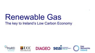 Renewable Gas
The key to Ireland’s Low Carbon Economy
1
 