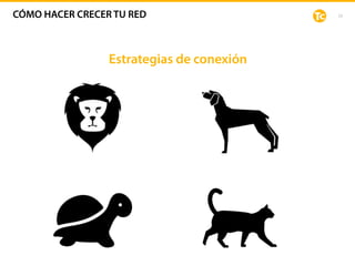 23
Estrategias de conexión
CÓMO HACER CRECER TU RED
 