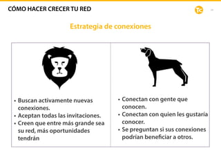 24
• Buscan activamente nuevas
conexiones.
• Aceptan todas las invitaciones.
• Creen que entre más grande sea
su red, más oportunidades
tendrán
Estrategia de conexiones
• Conectan con gente que
conocen.
• Conectan con quien les gustaría
conocer.
• Se preguntan si sus conexiones
podrían beneficiar a otros.
CÓMO HACER CRECER TU RED
 
