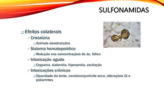 SULFONAMIDAS
 Efeitos colaterais
 Cristalúria
 Animais desidratados
 Sistema hematopoiético
 Redução nas concentrações de ác. fólico
 Intoxicação aguda
 Cegueira, sialorréia, hiperpnéia, excitação
 Intoxicações crônicas
 Opacidade da lente, ceratoconjuntivite seca, alterações GI e
poliartrites
 