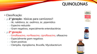 QUINOLONAS
• Classificação:
•  1ª geração - tóxicas para carnívoros!!
•  Ác. nalidíxico, ác. oxolínico, ác. pipemídico
•  Espectro reduzido
•  Gram negativos, especialmente enterobactérias
•  2ª geração
•  Enrofloxacino, norfloxacino, ciprofloxacino, ofloxacino
•  Especialmente gram negativos
•  Gram positivas
•  Clamydia, mycoplasma, Brucella, Mycobacterium
 