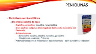 PENICILINAS
Penicilinas semi-sintéticas
De amplo espectro de ação
 Ampicilina, amoxicilina, hetacilina, metampicilina
 Gram positivas e algumas Gram negativas (Salmonella, Escherichia coli,
Pasteurela)
 Antipseudomonas
 Carbenicilina, ticarcilina, azlocilina, mexlocilina, piperacilina –
Pseudomonas aeruginosa e Proteus sp.
 Podem ser associados à inibidores das beta-lactamases – ácido clavurônico, sulbactam
 