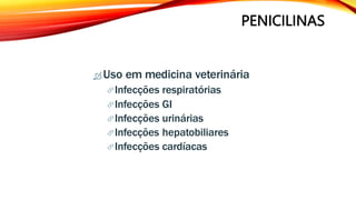 PENICILINAS
 Uso em medicina veterinária
Infecções respiratórias
Infecções GI
Infecções urinárias
Infecções hepatobiliares
Infecções cardíacas
 