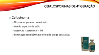 CEFALOSPORINAS DE 4ª GERAÇÃO
 Cefquinoma
 Disponível para uso veterinário
 Amplo espectro de ação
 Absorção - parenteral – IM
 Eliminação renal (80% na forma de droga pura ativa)
 