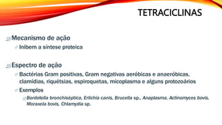 TETRACICLINAS
 Mecanismo de ação
 Inibem a síntese proteica
 Espectro de ação
 Bactérias Gram positivas, Gram negativas aeróbicas e anaeróbicas,
clamídias, riquétsias, espiroquetas, micoplasma e alguns protozoários
 Exemplos
 Bordetella bronchiséptica, Erlichia canis, Brucella sp., Anaplasma, Actinomyces bovis,
Moraxela bovis, Chlamydia sp.
 