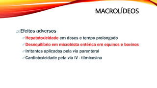 MACROLÍDEOS
 Efeitos adversos
Hepatotoxicidade em doses e tempo prolongado
Desequilíbrio em microbiota entérica em equinos e bovinos
Irritantes aplicados pela via parenteral
Cardiotoxicidade pela via IV - tilmicosina
 