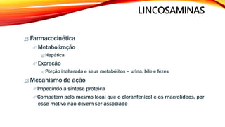 LINCOSAMINAS
 Farmacocinética
 Metabolização
 Hepática
 Excreção
 Porção inalterada e seus metabólitos – urina, bile e fezes
 Mecanismo de ação
 Impedindo a síntese proteica
 Competem pelo mesmo local que o cloranfenicol e os macrolídeos, por
esse motivo não devem ser associado
 