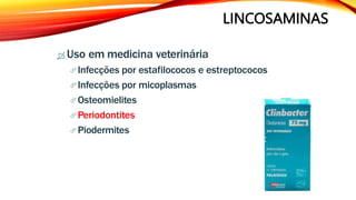 LINCOSAMINAS
 Uso em medicina veterinária
Infecções por estafilococos e estreptococos
Infecções por micoplasmas
Osteomielites
Periodontites
Piodermites
 