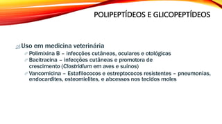 POLIPEPTÍDEOS E GLICOPEPTÍDEOS
 Uso em medicina veterinária
 Polimixina B – infecções cutâneas, oculares e otológicas
 Bacitracina – infecções cutâneas e promotora de
crescimento (Clostridium em aves e suínos)
 Vancomicina – Estafilococos e estreptococos resistentes – pneumonias,
endocardites, osteomielites, e abcessos nos tecidos moles
 