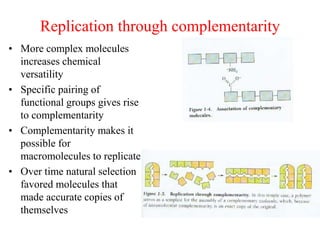 1603278403-foundation-of-biochemistry.ppt