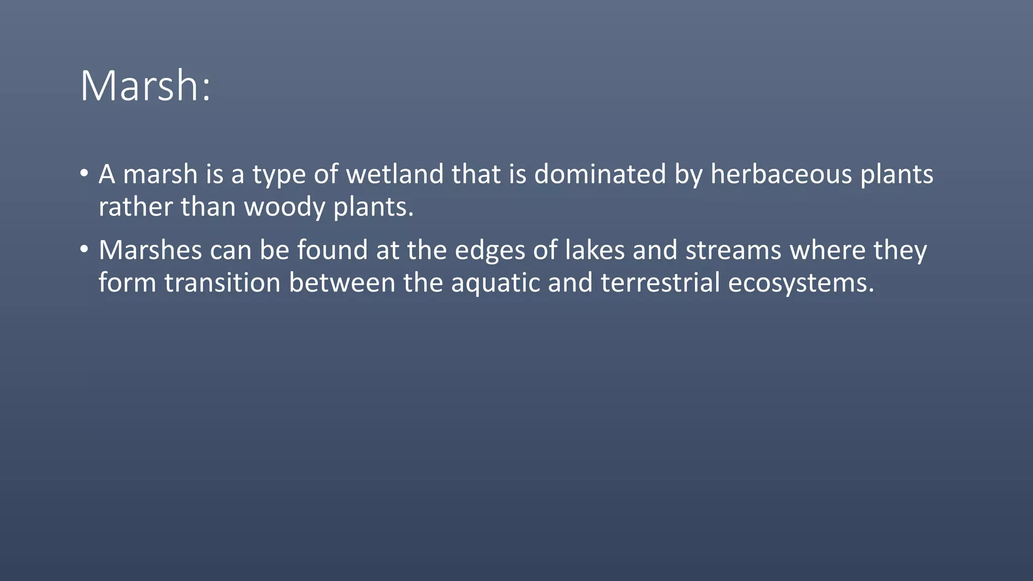 Marsh:
• A marsh is a type of wetland that is dominated by herbaceous plants
rather than woody plants.
• Marshes can be found at the edges of lakes and streams where they
form transition between the aquatic and terrestrial ecosystems.
 