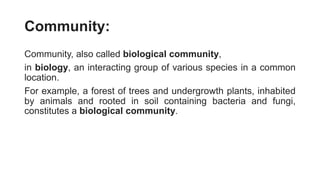 1603638315-lecture-22-community-soil-relationship.pptx