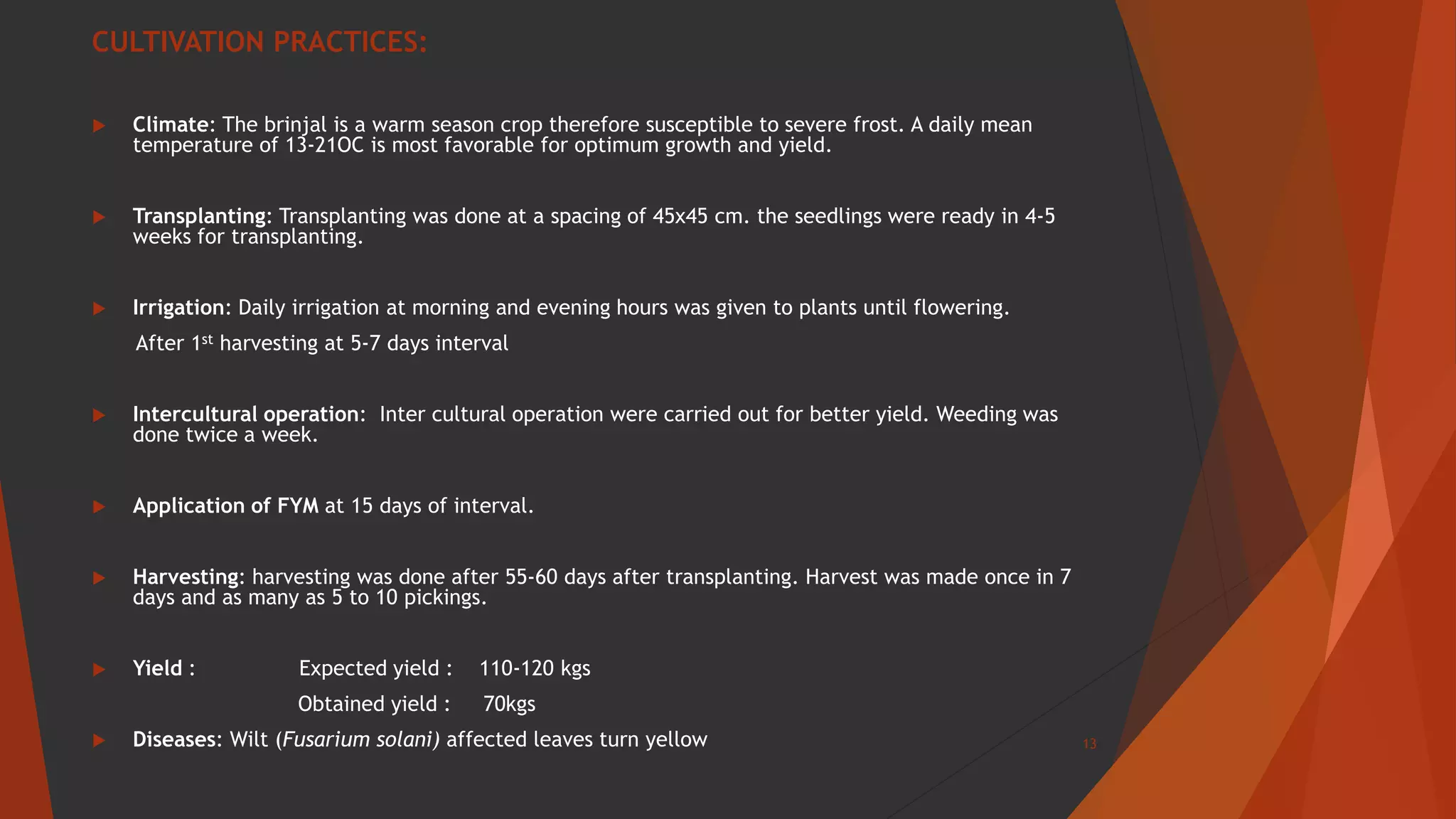 CULTIVATION PRACTICES:
 Climate: The brinjal is a warm season crop therefore susceptible to severe frost. A daily mean
temperature of 13-21OC is most favorable for optimum growth and yield.
 Transplanting: Transplanting was done at a spacing of 45x45 cm. the seedlings were ready in 4-5
weeks for transplanting.
 Irrigation: Daily irrigation at morning and evening hours was given to plants until flowering.
After 1st harvesting at 5-7 days interval
 Intercultural operation: Inter cultural operation were carried out for better yield. Weeding was
done twice a week.
 Application of FYM at 15 days of interval.
 Harvesting: harvesting was done after 55-60 days after transplanting. Harvest was made once in 7
days and as many as 5 to 10 pickings.
 Yield : Expected yield : 110-120 kgs
Obtained yield : 70kgs
 Diseases: Wilt (Fusarium solani) affected leaves turn yellow 13
 