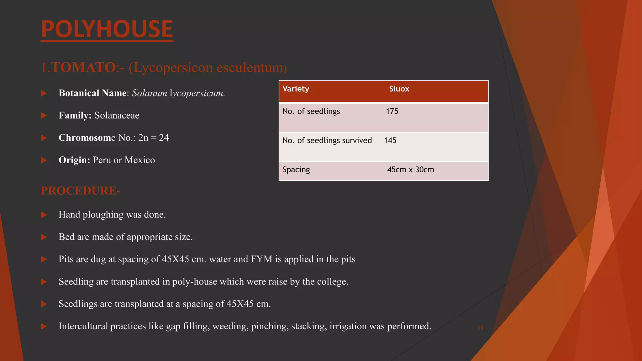 POLYHOUSE
1.TOMATO:- (Lycopersicon esculentum)
 Botanical Name: Solanum lycopersicum.
 Family: Solanaceae
 Chromosome No.: 2n = 24
 Origin: Peru or Mexico
PROCEDURE-
 Hand ploughing was done.
 Bed are made of appropriate size.
 Pits are dug at spacing of 45X45 cm. water and FYM is applied in the pits
 Seedling are transplanted in poly-house which were raise by the college.
 Seedlings are transplanted at a spacing of 45X45 cm.
 Intercultural practices like gap filling, weeding, pinching, stacking, irrigation was performed.
Variety Siuox
No. of seedlings 175
No. of seedlings survived 145
Spacing 45cm x 30cm
19
 