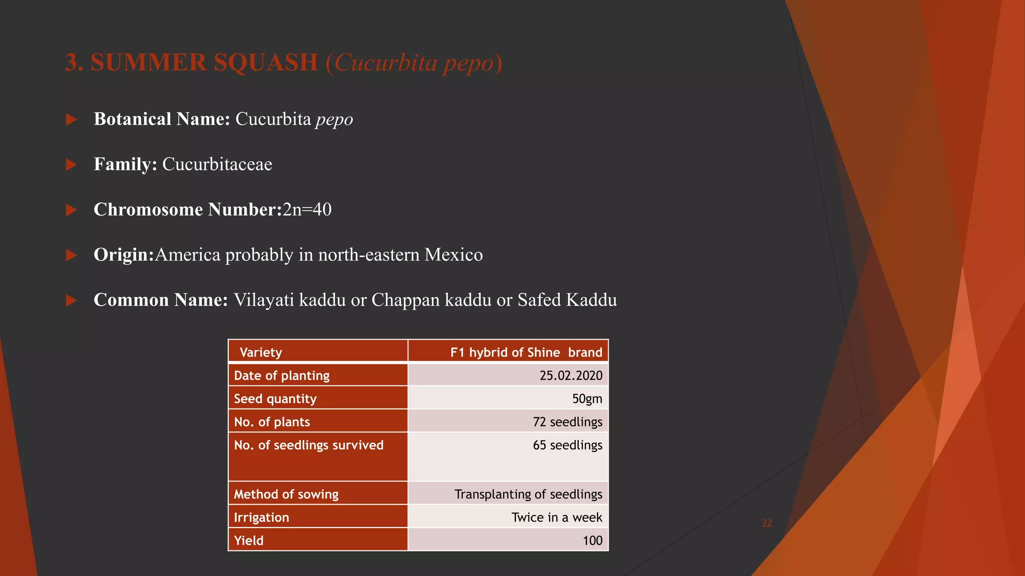 3. SUMMER SQUASH (Cucurbita pepo)
 Botanical Name: Cucurbita pepo
 Family: Cucurbitaceae
 Chromosome Number:2n=40
 Origin:America probably in north-eastern Mexico
 Common Name: Vilayati kaddu or Chappan kaddu or Safed Kaddu
Variety F1 hybrid of Shine brand
Date of planting 25.02.2020
Seed quantity 50gm
No. of plants 72 seedlings
No. of seedlings survived 65 seedlings
Method of sowing Transplanting of seedlings
Irrigation Twice in a week
Yield 100
22
 