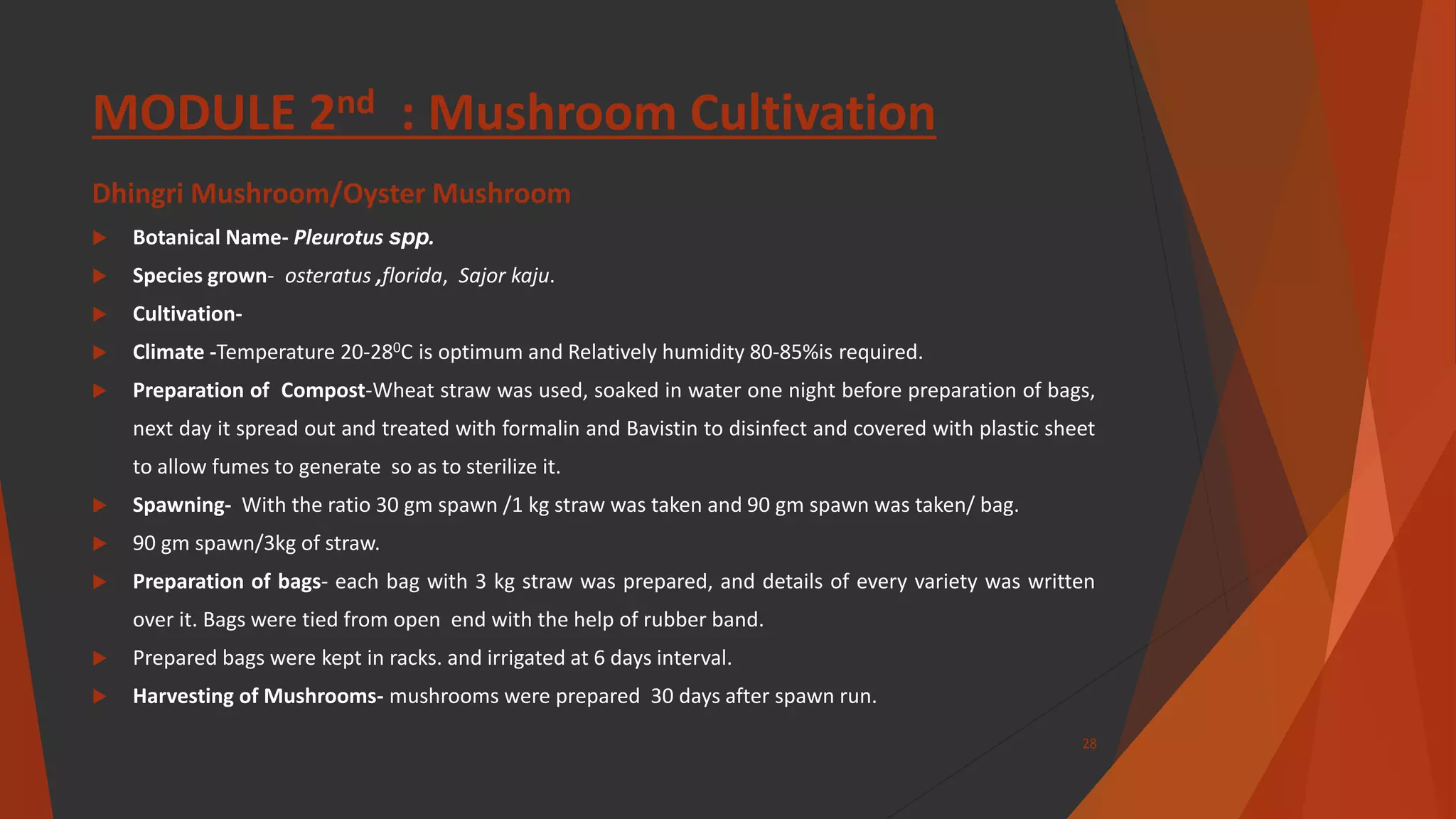 MODULE 2nd : Mushroom Cultivation
Dhingri Mushroom/Oyster Mushroom
 Botanical Name- Pleurotus spp.
 Species grown- osteratus ,florida, Sajor kaju.
 Cultivation-
 Climate -Temperature 20-280C is optimum and Relatively humidity 80-85%is required.
 Preparation of Compost-Wheat straw was used, soaked in water one night before preparation of bags,
next day it spread out and treated with formalin and Bavistin to disinfect and covered with plastic sheet
to allow fumes to generate so as to sterilize it.
 Spawning- With the ratio 30 gm spawn /1 kg straw was taken and 90 gm spawn was taken/ bag.
 90 gm spawn/3kg of straw.
 Preparation of bags- each bag with 3 kg straw was prepared, and details of every variety was written
over it. Bags were tied from open end with the help of rubber band.
 Prepared bags were kept in racks. and irrigated at 6 days interval.
 Harvesting of Mushrooms- mushrooms were prepared 30 days after spawn run.
28
 