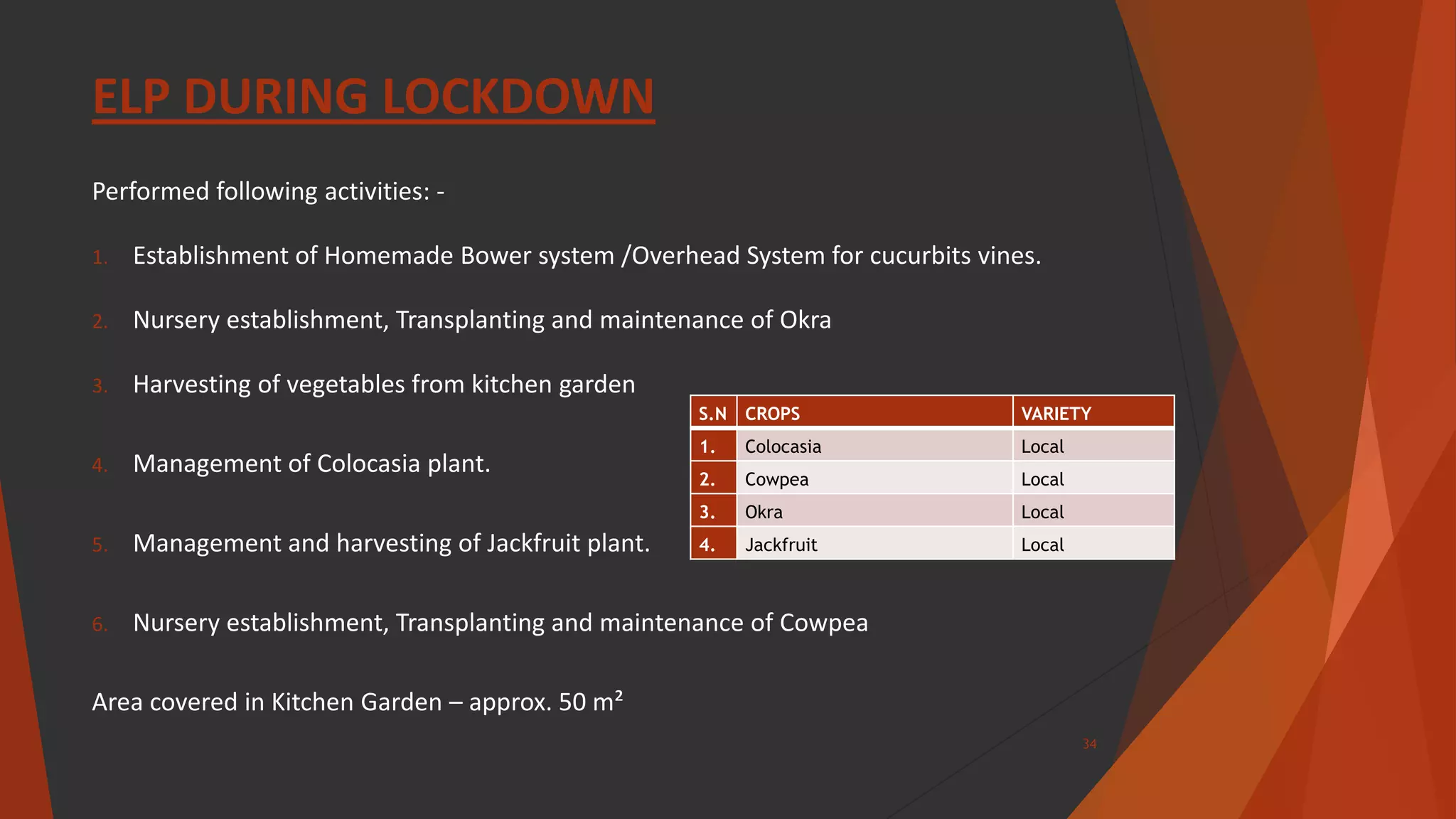 ELP DURING LOCKDOWN
Performed following activities: -
1. Establishment of Homemade Bower system /Overhead System for cucurbits vines.
2. Nursery establishment, Transplanting and maintenance of Okra
3. Harvesting of vegetables from kitchen garden
4. Management of Colocasia plant.
5. Management and harvesting of Jackfruit plant.
6. Nursery establishment, Transplanting and maintenance of Cowpea
Area covered in Kitchen Garden – approx. 50 m²
S.N CROPS VARIETY
1. Colocasia Local
2. Cowpea Local
3. Okra Local
4. Jackfruit Local
34
 