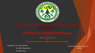 EXPERIENTIAL LEARNING PROGRAMME
On
Mushroom Production
&
Protected Cultivation of High Value Horticultural Crops
Presented to –Er. Tejas A.Bhosale
Dr. Satish Chandra Pant
Dr. Vijay Kumar
VCSG UTTARAKHAND UNIVERSITY OF HORTICULTURE AND FORESTRY,
BHARSAR
Presented by- Siddharth Khanna
(16039)
 
