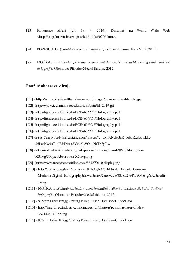 Bachelor thesis defense picture