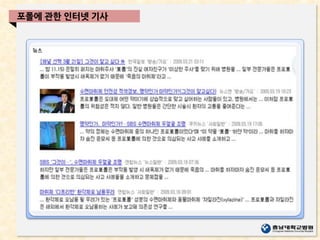 포폴에 관한 인터넷 기사
 