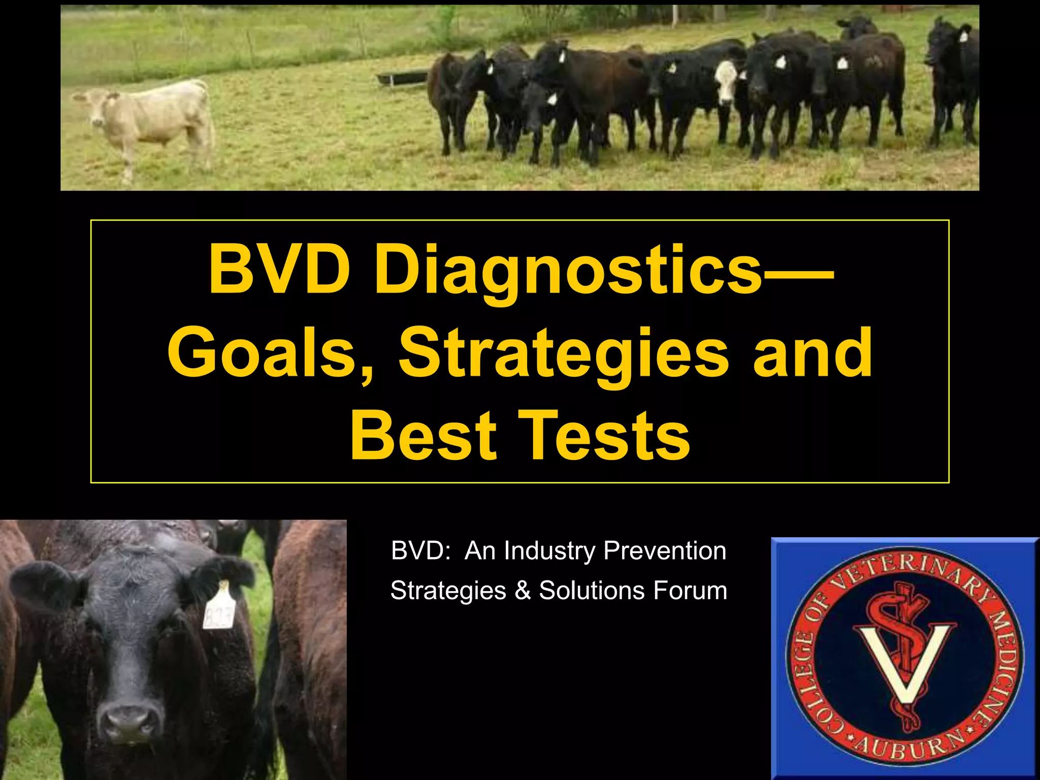Dr. Dan Givens - Bovine Viral Diarrhoea (BVD) Diagnostics - Goals ...