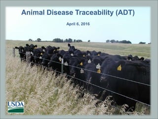1
Animal Disease Traceability (ADT)
April 6, 2016
 
