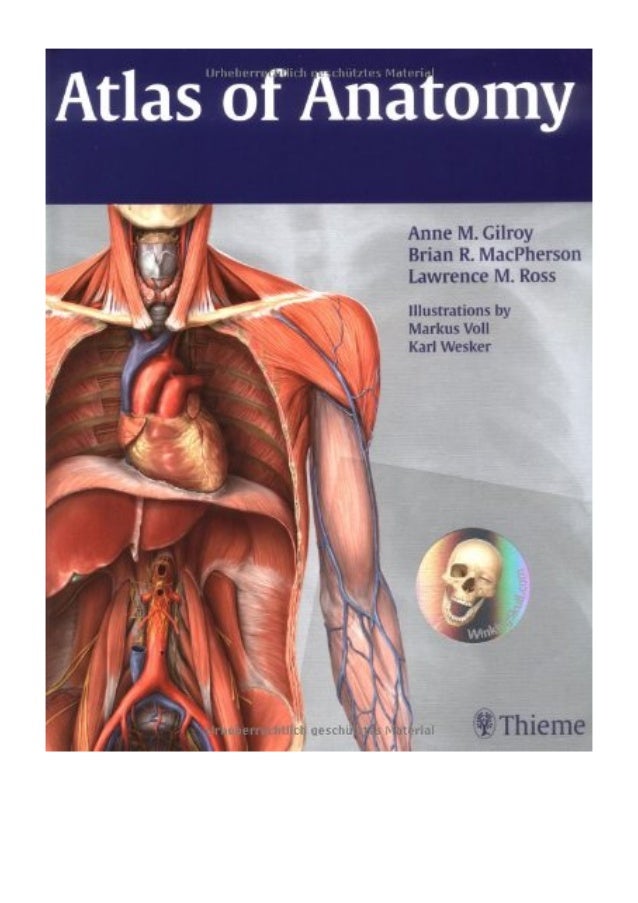 (2008) Atlas of Anatomy (Thieme Anatomy) (PDF) by Anne M Gilroy | Th…