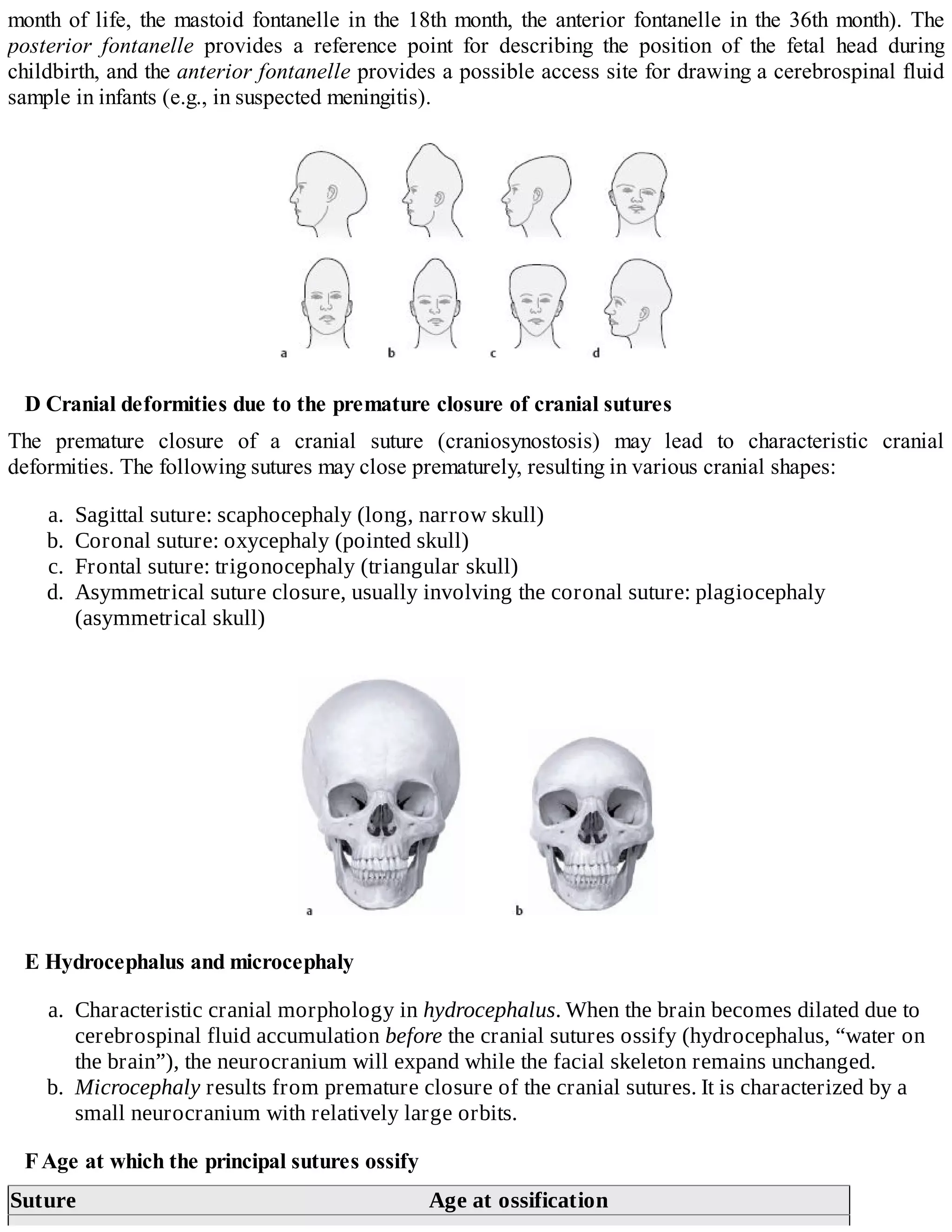Thieme, Atlas of Anatomy | PDF