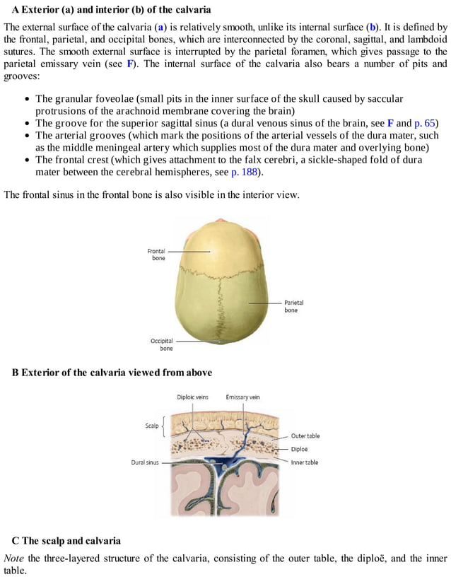 Thieme, Atlas of Anatomy