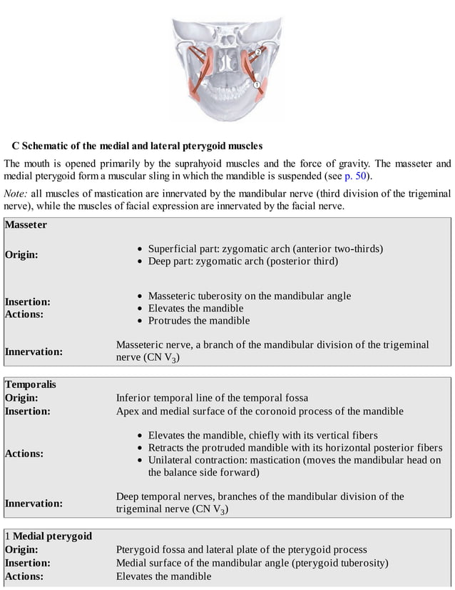 Thieme, Atlas of Anatomy