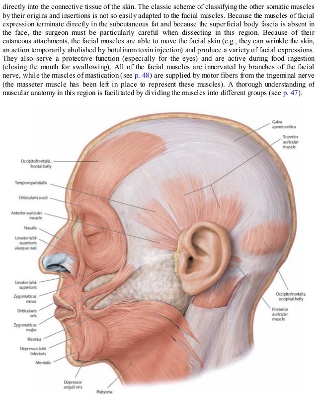 Thieme, Atlas of Anatomy