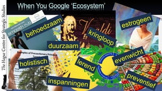 When You Google Ecosystem
duurzaam
 